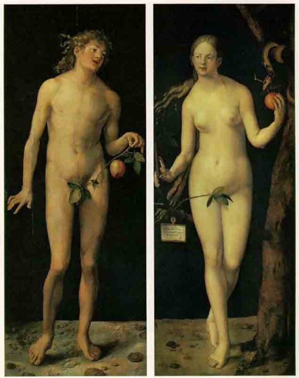 durer15germanyadamandeve.jpg