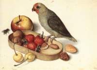 stilllifewithpygmyparrot_small.jpg