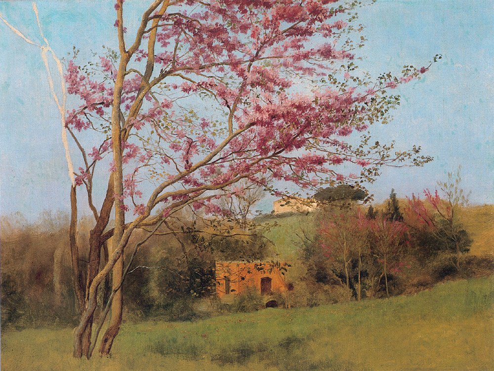 landscapeblossomingredalmond.jpg