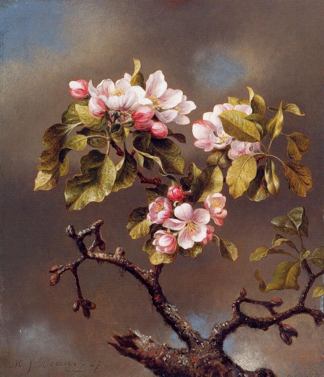 branchofappleblossomsagainstacloudysky.jpg