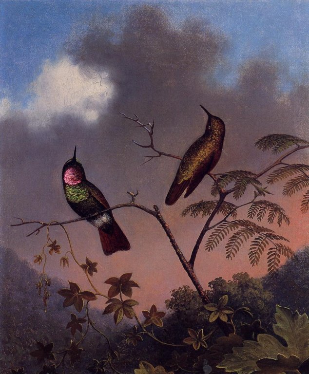 brazilianrubyhummingbirds.jpg