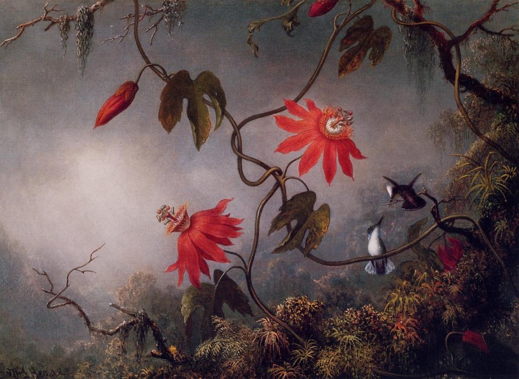 passionflowersandhummingbirds.jpg