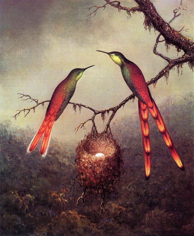 twohummingbirdsgardinganegg.jpg