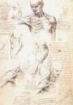 leonardo_da_vinci_anatomical_studies_of_the_shoulder_1509_10_small.jpg