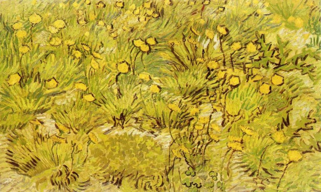 afieldofyellowflowers.jpg