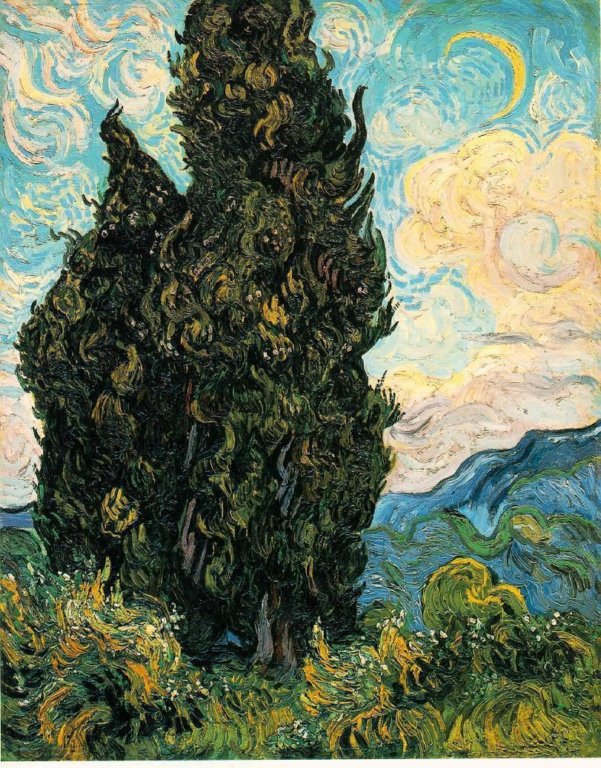 cypresses.jpg