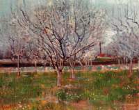 orchardinblossom3_small.jpg