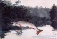 leapingtrout3_small.jpg