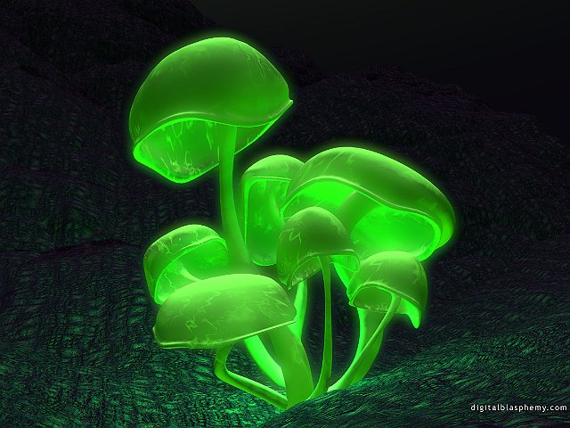 3D_Fluorescence_Green_1152x864