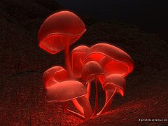 3D_Fluorescence_2_1152x864