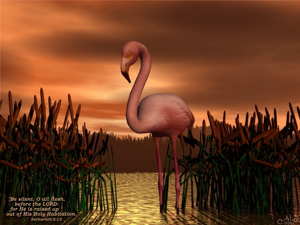 3d_animals_035